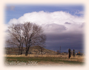 rancho san rafael reno